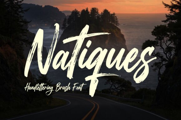 Natiques: A Designer's Review of This Script Amp