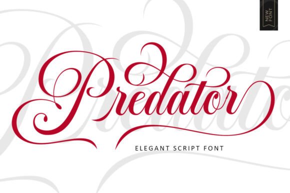 Predator Script: A Premium Typeface for Editorial Design