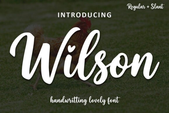 Wilson: A Handwritten Font for Modern Web Design